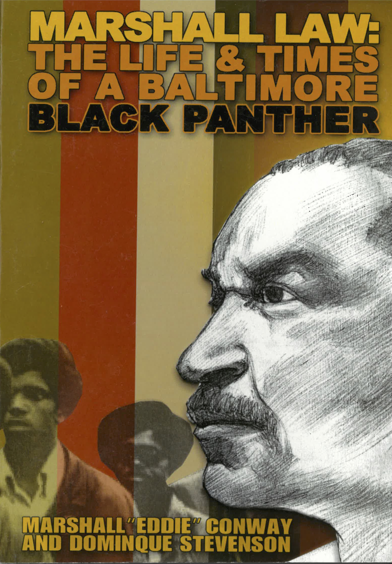 Civil Rights Teaching: Black Panthers and Black Power - Social Justice Books