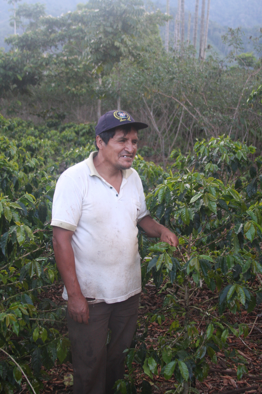 Fernando Galdez with some of his Pache plants