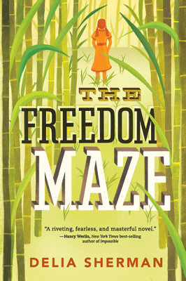 Medium_the-freedom-maze-266x400