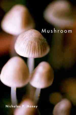 Medium_mushroom
