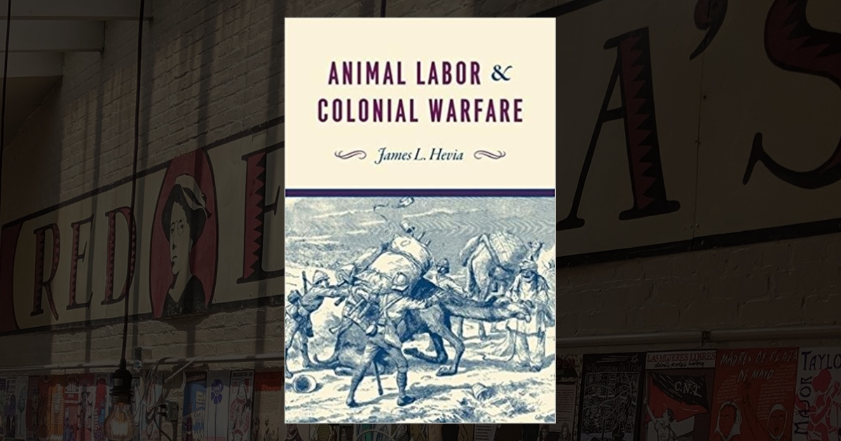 Animal Labor and Colonial Warfare