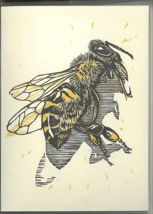 Medium_honeybee