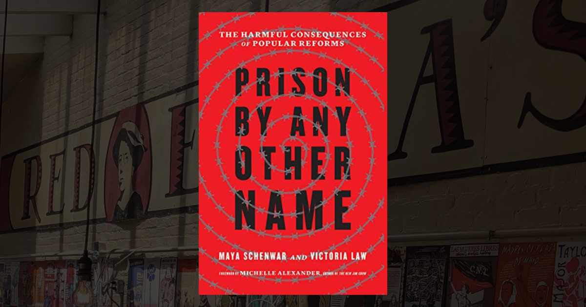 Prison by Any Other Name by Maya Schenwar