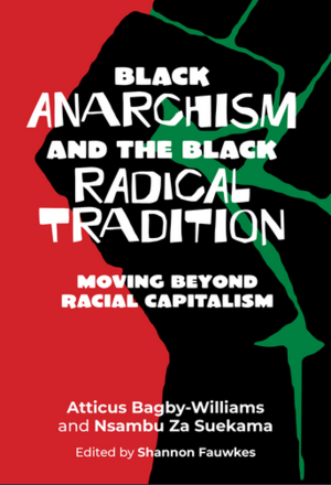 Medium_screenshot_2022-11-18_at_17-08-32_black_anarchism_and_the_black_radical_tradition_moving_beyond_racial_capitalism_-_daraja_press