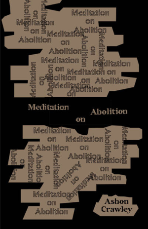 Medium_screenshot_2022-12-22_at_14-53-56_meditation_on_abolition