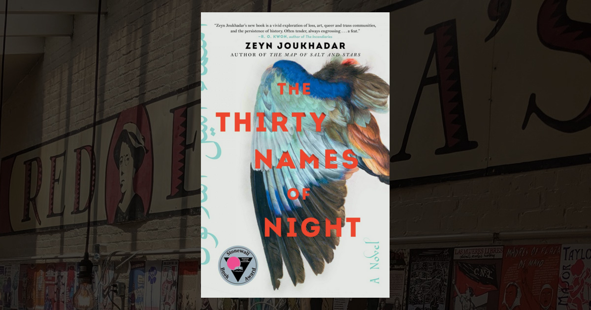 The Thirty Names of Night: A Novel