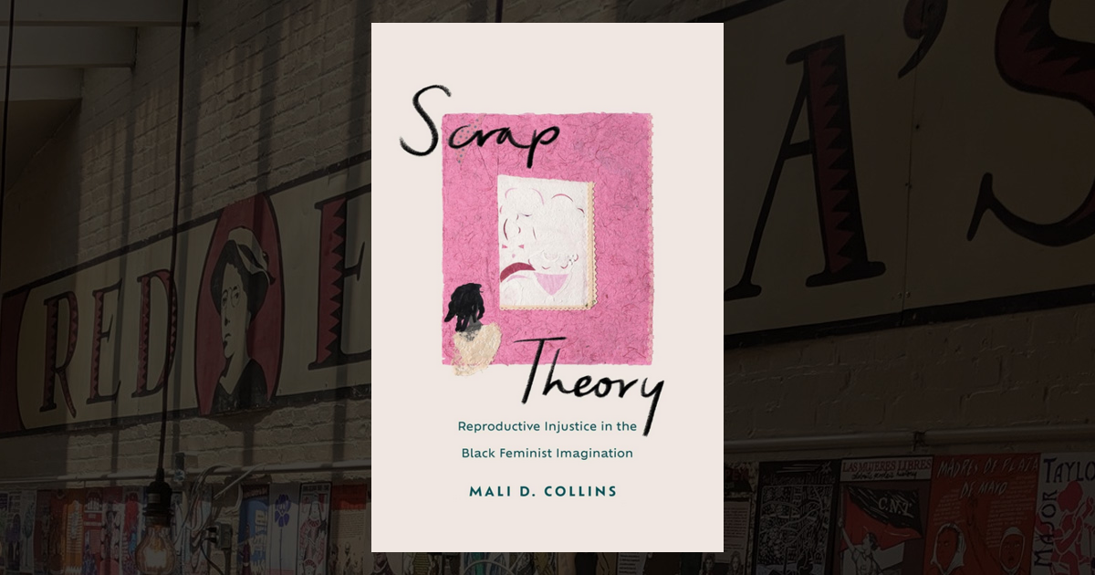 Scrap Theory: Reproductive Injustice in the Black Feminist Imagination